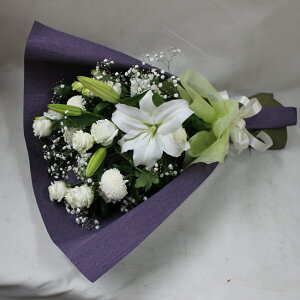 wԑEzCgx@@yDys΁ELE͑(̑̋͑L)zyDyȊÓwz[著]({X)xzy/@v///kCz