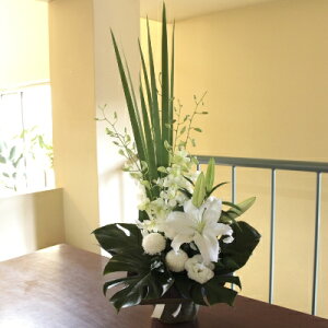 wAWExyDys΁ELE͑(̑̋͑L)zyDyȊÓwz[著]({X)xŕʓrLzy/kCz