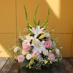 wAWyEsNzx@6,600~yDys΁ELE͑(̑̋͑L)zyDyȊÓwz[著]({X)xŕʓrLzy/kCz