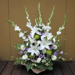 wAWyEzx@yDys΁ELE͑(̑̋͑L)zyDyȊÓwz[著]({X)xŕʓrLzy/kCz