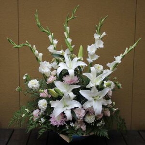 wAWyvzx@yDys΁ELE͑(̑̋͑L)zyDyȊÓwz[著]({X)xŕʓrLzy/kCz