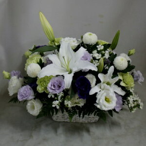 AWwHxyDys΁ELE͑(̑̋͑L)zyDyȊÓwz[著]({X)xŕʓrLzyyΉ_kCzyyΉ_