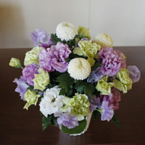 AWwǉx@yDys΁ELE͑(̑̋͑L)zyDyȊÓwz[著]({X)xŕʓrLzy/kCz