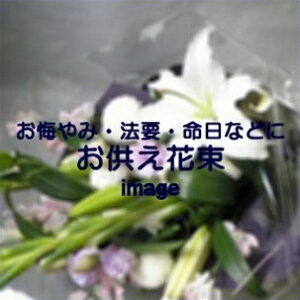 ԑ@4,400~yDys΁ELE͑(̑̋͑L)zyDyȊÓwz[著]({X)xŕʓrLz