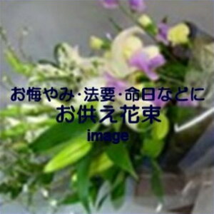 ԑ@6,600~yDys΁ELE͑(̑̋͑L)zyDyȊÓwz[著]({X)xŕʓrLz