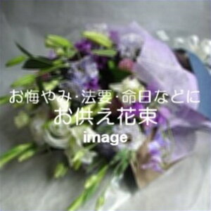 ԑ@7,700~yDys΁ELE͑(̑̋͑L)zyDyȊÓwz[著]({X)xŕʓrLz