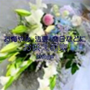 ԑ@8,800~yDys΁ELE͑(̑̋͑L)zyDyȊÓwz[著]({X)xŕʓrLz