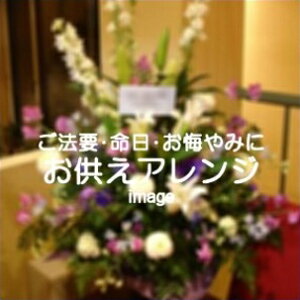 AW7,700~yDys΁ELE͑(̑̋͑L)zyDyȊÓwz[著]({X)xŕʓrLzy/kCz