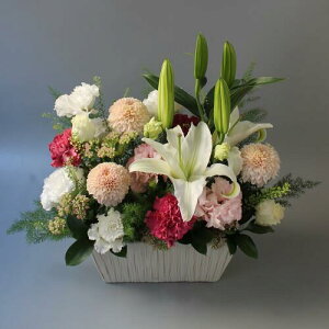 AWwH-sN-xyDys΁ELE͑(̑̋͑L)zyDyȊÓwz[著]({X)xŕʓrLzy/kCz