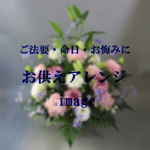 AW 4,400~yDys΁ELE͑(̑̋͑L)zyDyȊÓwz[著]({X)xŕʓrLzy/kCz