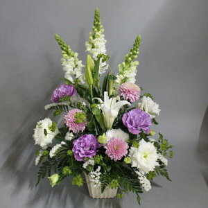 AWysNEzyDys΁ELE͑(̑̋͑L)zyDyȊÓwz[著]({X)xŕʓrLzy/kCz