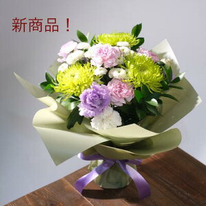 w䋟̃X^fBOu[PSxyDys΁ELE͑(̑̋͑L)zyDyȊÓwz[著]({X)xŕʓrLz