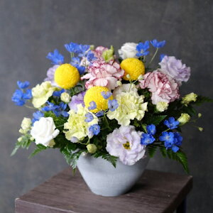 AWyzyDys΁ELE͑(̑̋͑L)zyDyȊÓwz[著]({X)xŕʓrLzy/kCz