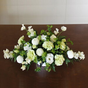 AWyɕʁzyDys΁ELE͑(̑̋͑L)zyDyȊÓwz[著]({X)xŕʓrLzy/kCz