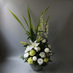 wAWyᑐzxyDys΁ELE͑(̑̋͑L)zyDyȊÓwz[著]({X)xŕʓrLzy/kCz