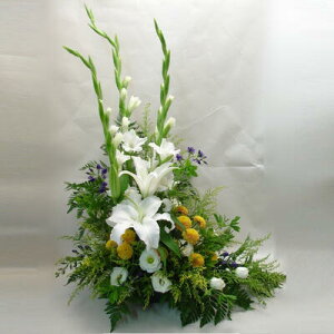 yDys΁ELE͑(̑̋͑L)zyzszAWy"L"VFCvz