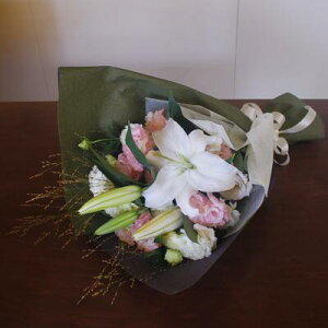 wpԑ 5,500~x@@yDys΁ELE͑(̑̋͑L)zyDyȊÓwz[著]({X)xzy/@v///kCz