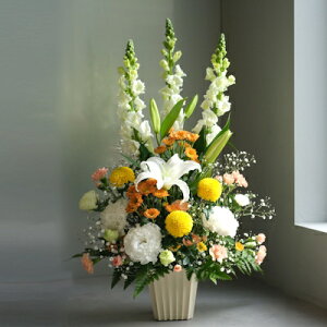 wAWyFEIWzxyDys΁ELE͑(̑̋͑L)zyDyȊÓwz[著]({X)xŕʓrLzy/kCz