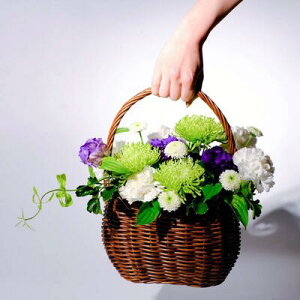 AWy͂ȂzyDys΁ELE͑(̑̋͑L)zyDyȊÓwz[著]({X)xŕʓrLzy/kCz