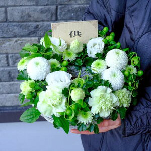 AWyJ--zyDys΁ELE͑(̑̋͑L)zyDyȊÓwz[著]({X)xŕʓrLzy/kCz