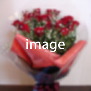 ܂ԑ16,500~yDys΁ELE͑(̑̋͑L)zyDyȊÓwz[著]({X)xŕʓrLz