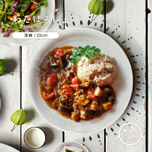 y킽ڂzy  22cm { Y Z  mH H M M 唫 J[M pX^M M ϕ T_{E JtF JtF  i` _