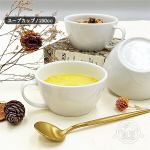 yztX[vJbv 250cc { Y Z   mH H |[ZA[g Gtp X[vJbv X[v{E [Og{E {E t q