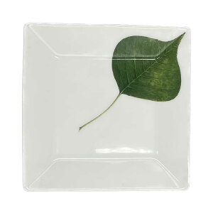 yIׂ5zyOrganicV[YzlpM 14cm { Y Z mH lpM XNGA pM M M P[Lv[g T_v[g fU[gv[g pv[g   