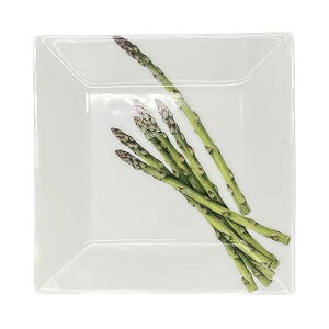 yIׂ5zyOrganicV[YzlpM 14cm { Y Z mH lpM XNGA pM M M P[Lv[g T_v[g fU[gv[g pv[g   