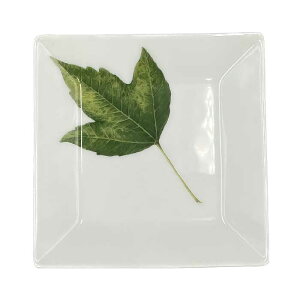 yIׂ5zyOrganicV[YzlpM 14cm { Y Z mH lpM XNGA pM M M P[Lv[g T_v[g fU[gv[g pv[g   