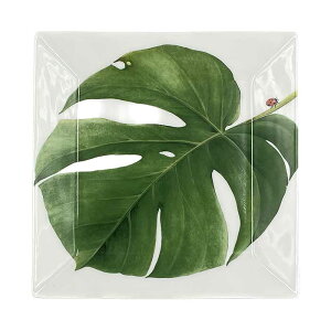 yIׂ4zyOrganicV[YzlpM 19cm { Y Z mH lpM XNGA pM M P[Lv[g T_v[g fU[gv[g pv[g   IV