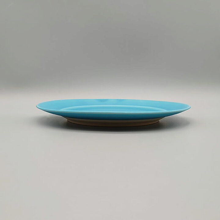 楽天市場 青空シリーズ Mt プレート 23cm 日本製 国産 美濃焼 洋食器 大皿 メインディッシュ ディナープレート ディナー皿 パスタ皿 ワンプレート モダン シンプル おしゃれ カフェ食器 カフェ風 カラフルな食器 青い食器 ターコイズブルー 青色 四器f Seasons