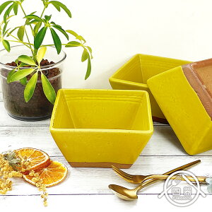 ミモザヨーグルトボウル 300cc 日本製 国産 美濃焼 陶磁器 和食器 小鉢 小付け 浅鉢 ボウル ミニボウル デザートボウル アイスカップ ヨーグルトボウル サラダボウル シリアルボウル 前菜鉢