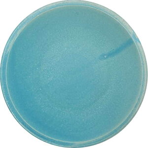 【選べる5色】【Palettaシリーズ】 プレート 20cm 皿 お皿 中皿 取り皿 メイン皿 子ども食器 パンプレート ケーキプレート サラダプレート デザート皿 パスタ皿 オリジナル ハンドメイド モダン