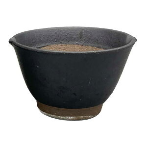 yIׂFz蔫 3.5 (11cm) {  a aH c Rؓ    ϕ a ܂ R H y[Xg ׂ  Lb`G lp lO