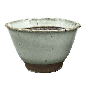 yIׂFz蔫 4 (14cm) {  a aH c Rؓ    ϕ a ܂ R H y[Xg ׂ  Lb`G lp lO 