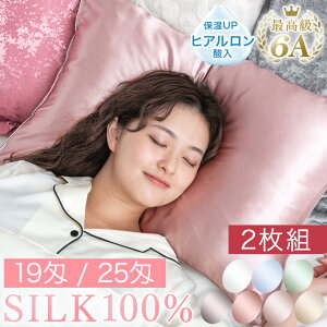 VN Jo[ 2g T 43×63cm Iׂ2^Cv 25 19 qA_z Ж  VR VN100 t@Xi[ 􂦂    VN VN܂Jo[ ێ 100 