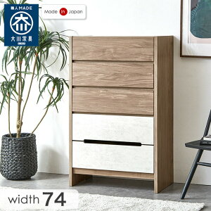 y~N[|5%z Y i 5i `FXg 74cm tXCh[ rt ؐ  \y ^X rO[ rO ߗގ[ [ [Ƌ o o 74 nC`FXg 