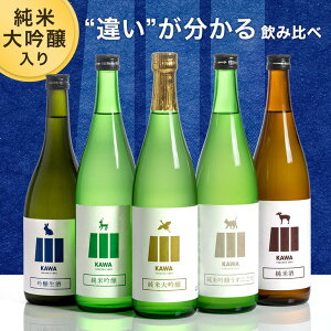 【本日クーポン5%引】 “違い”が分かる 福岡 日本酒 飲み比べセット 720ml 5本セット KAWA 純米大吟醸 純米吟醸 うすにごり 生酒 純米酒 地酒 酒 お酒 辛口 甘口 飲み比べ セット 詰め合わせ お