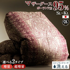 y~N[|5%+2000~z _̉Hѕzc  or  􂦂 |[hY }U[O[X 95 { RCh[Ő􂦂 Hѕzc  60Te VO Z~_u _u 