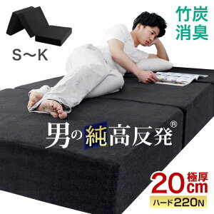 Ɍ20cm |YL j̏(R) Z O܂ }bgX d 220N }bgX  z xbh}bg }bgX }bg 20cm 3܂ ܂肽 VO Z~_u _