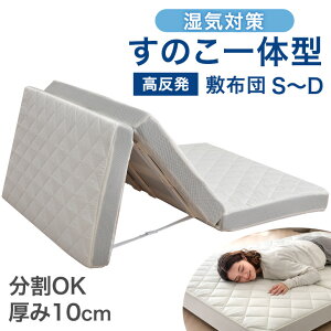 sC΍t ̂܂܊ ~zc ̂̌^ 10cm  ~zc ~ӂƂ  E^ 􂦂 Jo[ ̂ ̂}bg C΍ zc ܂肽 3܂ ~zc }bg