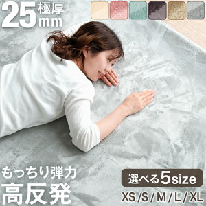 Ɍ 25mm tl h ~ }CNt@Co[ O}bg J[ybg 90×180 / 130×185 / 185×185 / 200×250 / 200×300 O~   zbgJ[ybgΉ g[Ή