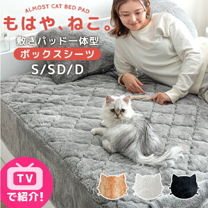 y~N[|5%z ͂A˂B ̌^ {bNXV[c 􂦂 g h_j RۖhL ̌^{bNXV[c ~pbh ~pbh xbhpbh xbhV[c V[c pbh }bg