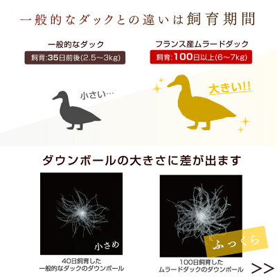楽天市場 時 4h全品クーポンで5 Off 送料無料 大増量1 3kg 西川 日本製 羽毛布団 フランス産 ダウンボールが大きい ムラードダック ダウン 93 400dp シングル ロング 30マスキルト 洗浄度2倍 掛布団 ふとん 羽毛ふとん 国産 布団 羽毛 掛け布団 昭和西川 楽天市場 時 4h全品クーポンで5 Off 送料無料 大増量1 3kg 西川 日本製 羽毛布団 フランス産 ダウンボールが大きい ムラードダック ダウン 93 400dp シングル ロング 30マスキルト 洗浄度2倍 掛布団 ふとん 羽毛ふとん 国産 布団 羽毛 掛け布団 昭和西川