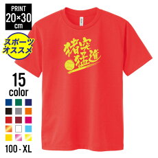 楽天市場 Tシャツ F Stampa 楽天市場 Tシャツ F Stampa