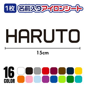 お名前 アイロンシート【15×3cm以内】アルファベット プリント ラバーシート 単色 全16色