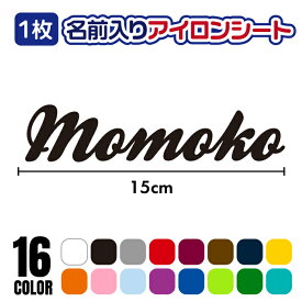 お名前 アイロンシート【15×3cm以内】アルファベット プリント ラバーシート 単色 全16色 筆記体 おしゃれ