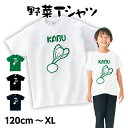 「かぶ」野菜 Tシャツ 半袖 綿 全4色 120cm-XL