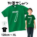 「きゅうり」野菜 Tシャツ 半袖 綿 全3色 120cm-XL